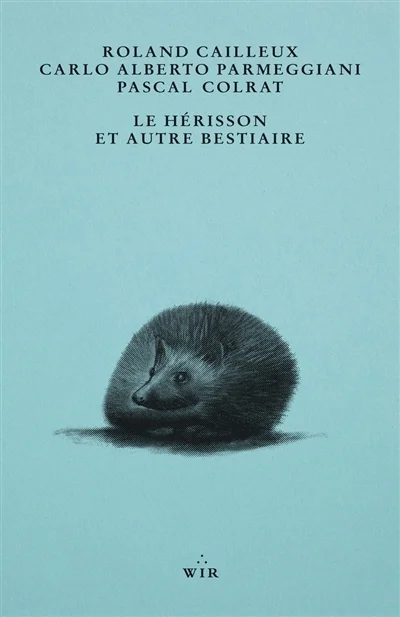 e.leclerc-256742384