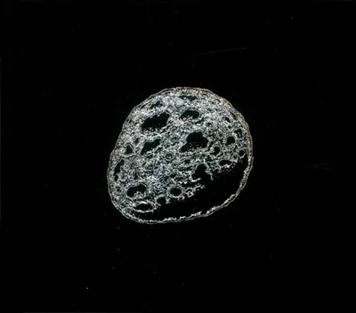 e.leclerc-256783051