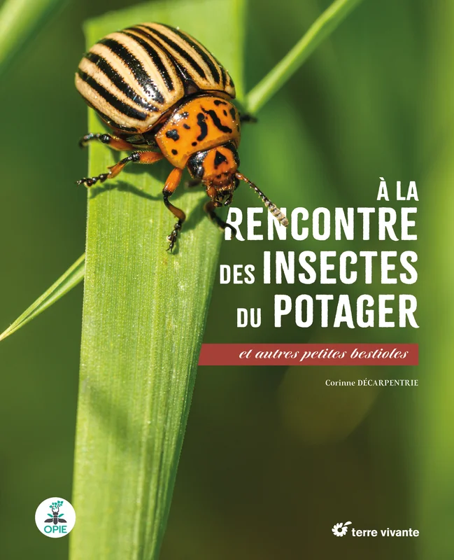 e.leclerc-256817140