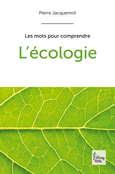e.leclerc-256819325